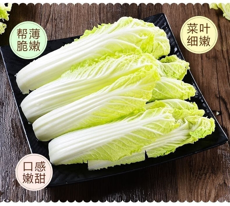新鲜娃娃菜小白菜新鲜蔬菜批发价精品黄心娃娃菜火锅涮菜大白菜10斤