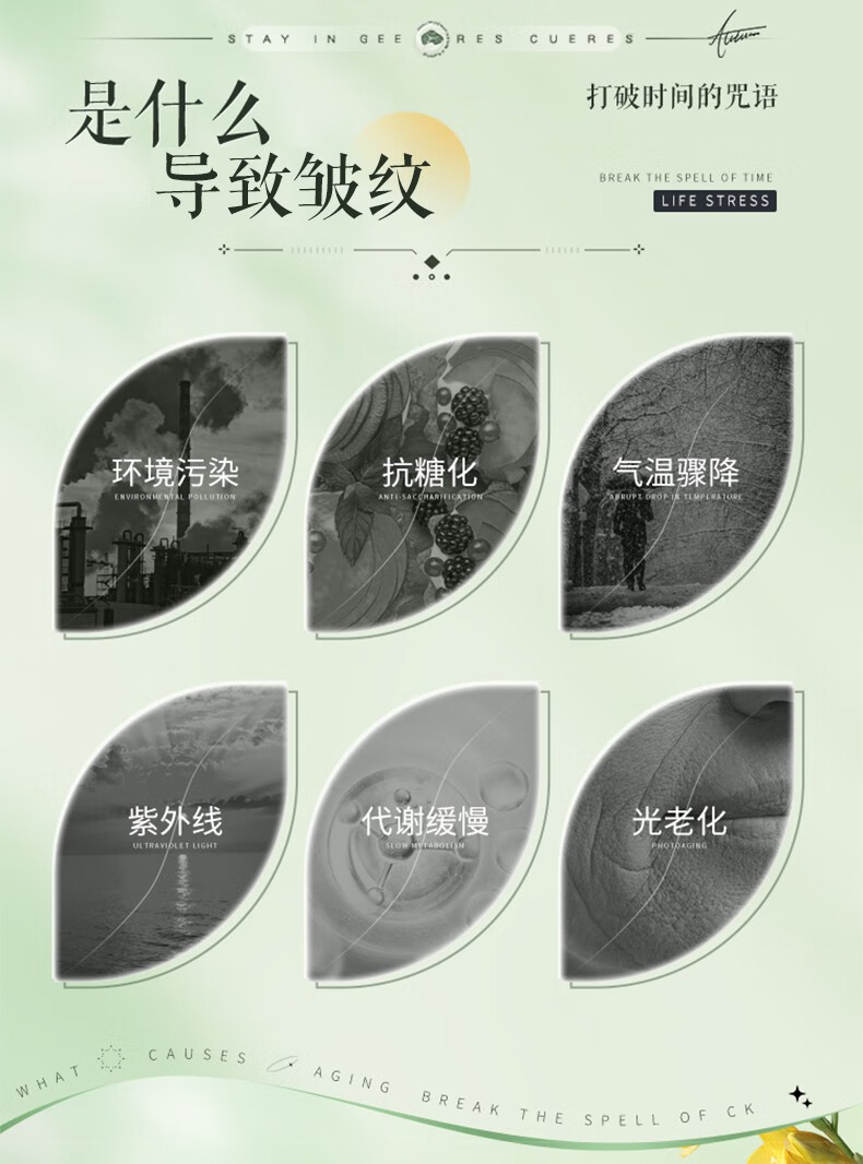 肌琳莎（JILINSHA）白松露酵母抗皱补水保湿护紧致弹嫩精华面部护肤套装 白松露酵母七件套*1盒