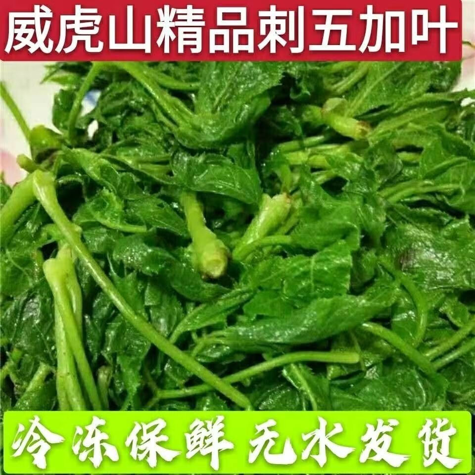 有仁堂东北特产新鲜刺五加叶子山野菜水焯速冻年货2斤无水冷冻发货