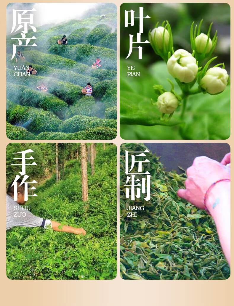 24，Derenruyu2022新茶濃香茉莉花茶500尅罐裝茉莉龍珠香茶葉散裝花草茶葉綠茶 茉莉茉莉花茶50g(入門口感)