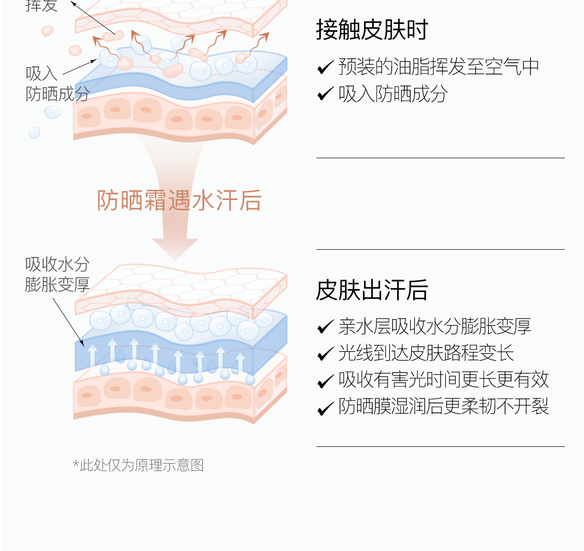柳丝木（Ositree）动感骄阳清透防晒乳霜露SPF50+PA++++高倍防晒保湿脸部女防水学生 光U盾50g+蓝U盾50g+绿U盾50g