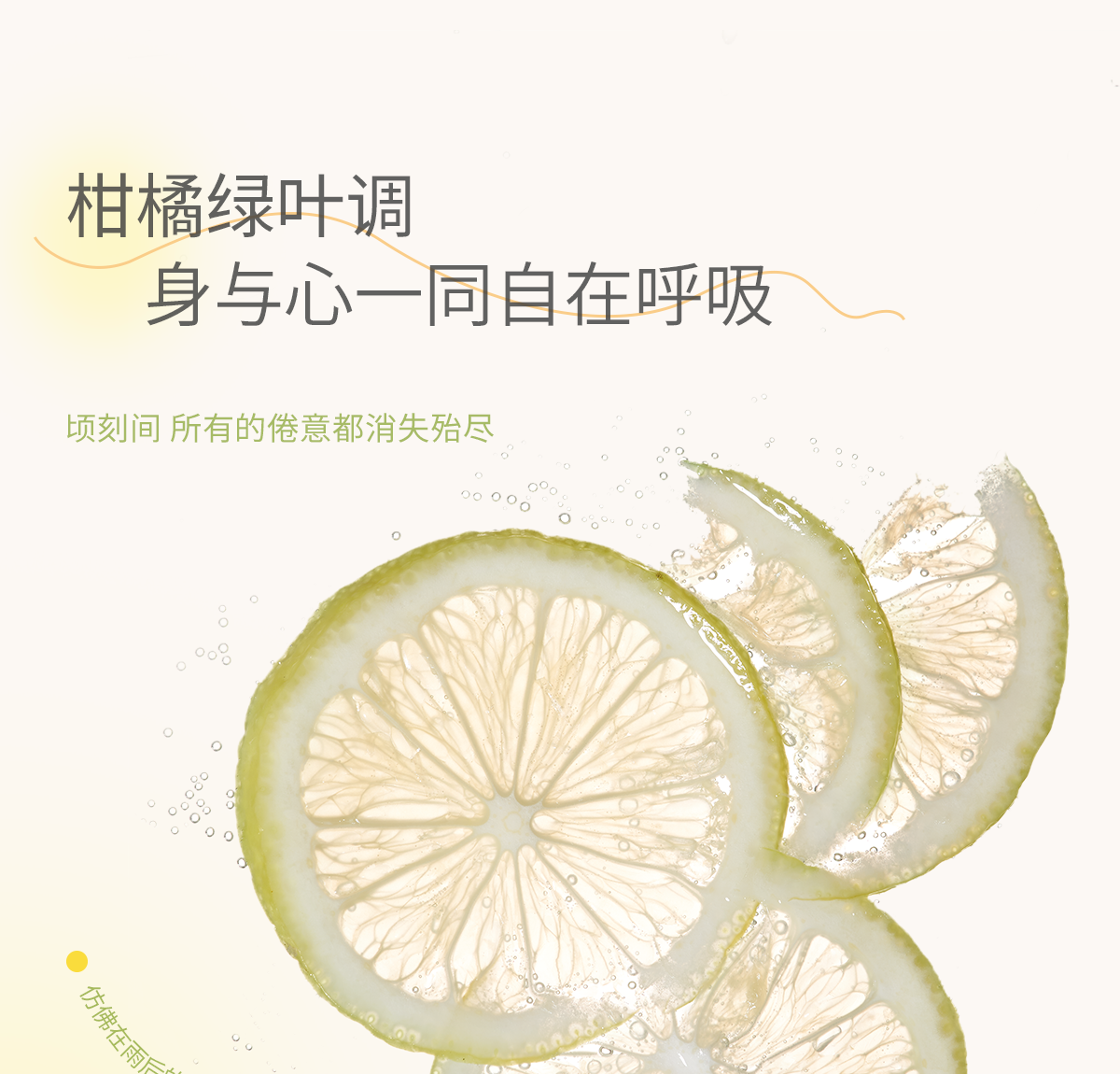悦芙媞（Hapsode）悦芙媞卸妆膏油皮清洁眼唇全脸卸妆易乳化油男女学生送礼 尝鲜装80g*1