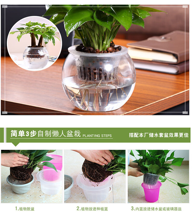 水培瓶定植篮塑料固根器棉绳加深固定网无土栽培花卉绿植盆栽 白色棉