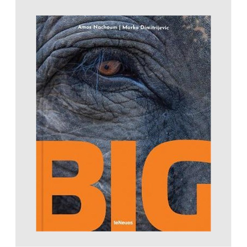 进口艺术 Big:A Photographic Album of the World's Largest Animals