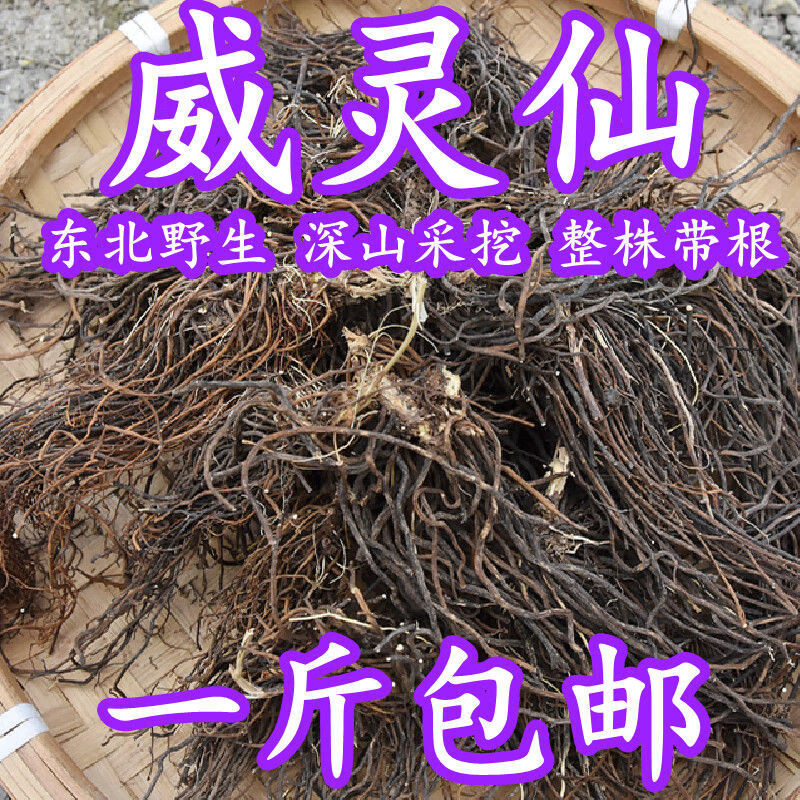 有仁堂东北威灵仙500g整株中药材威灵仙根威灵仙粉老虎须泡脚中草药