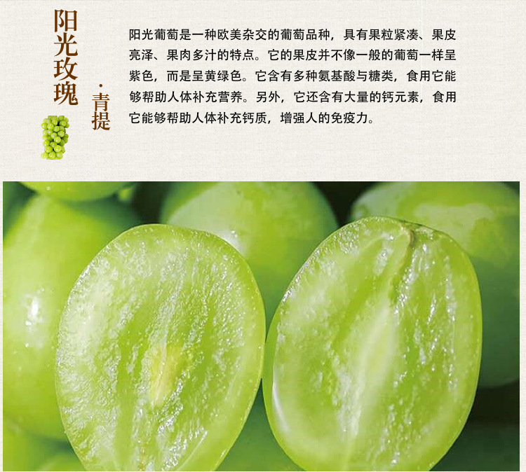 阳光玫瑰 新鲜葡萄香印青提子 日本晴王无籽葡萄孕妇水果老少皆宜