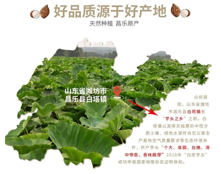 昌乐芋头10斤山东特产现挖香芋新鲜蔬菜槟榔芋紫藤芋毛芋头【人工
