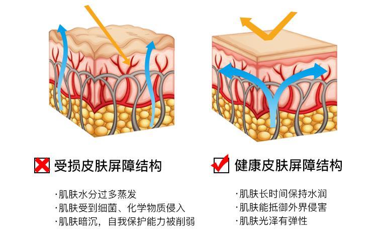 韩婵经典爱心酵素精华液敏感肌护肤品水乳修复爽肤水男女补水保湿