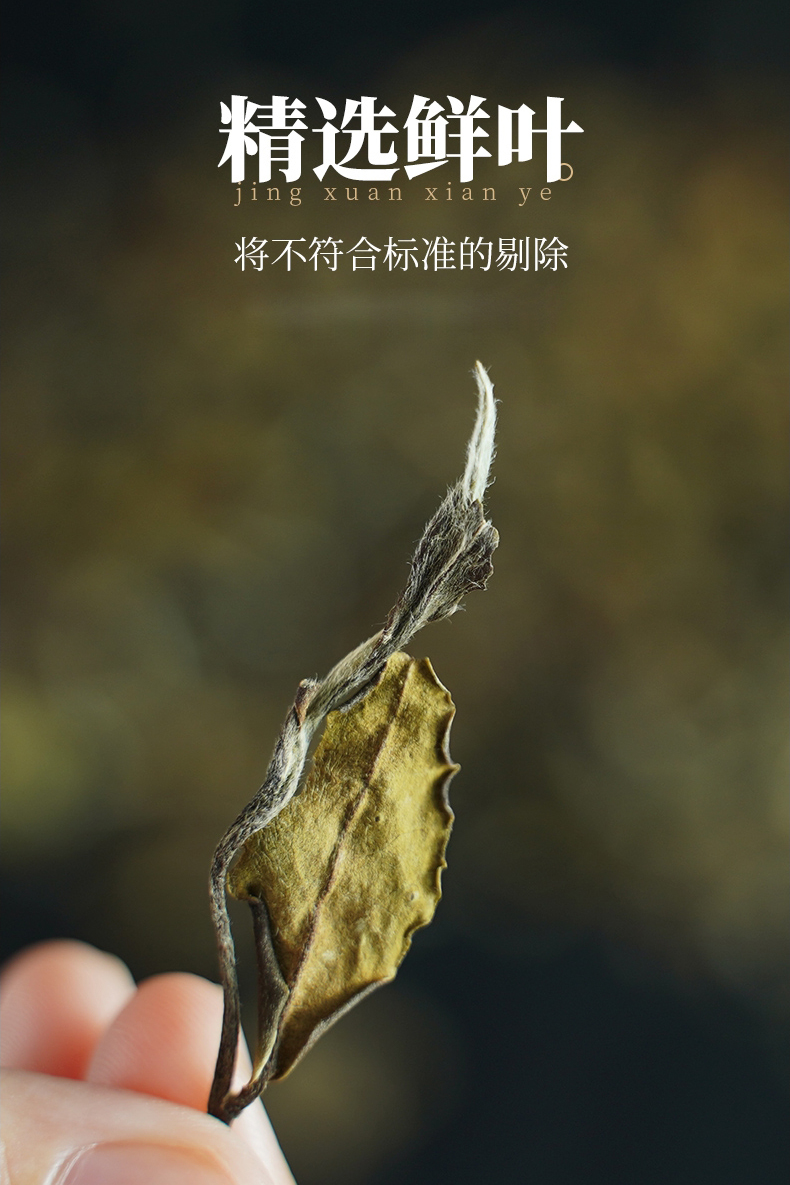 香彻（XIANGCHE）白茶高山紧压盒装茶饼老白古树生晒茶饼茶叶老白茶饼陈香龙年纪念版生晒古树礼盒装 老白茶礼盒装 300g详情图片7