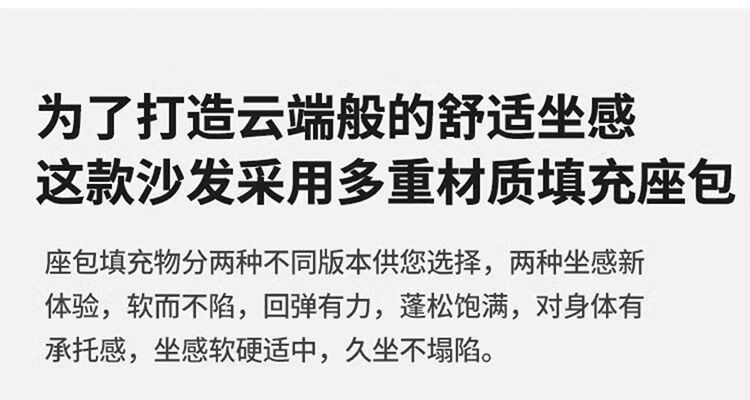 罗籍乐2024新款意式布艺沙发沙发钢猫抓直排沙发双人轻奢琴猫抓皮沙发简约客厅小户型直排轻奢 直排双人位2米 猫抓皮[海绵款]详情图片32