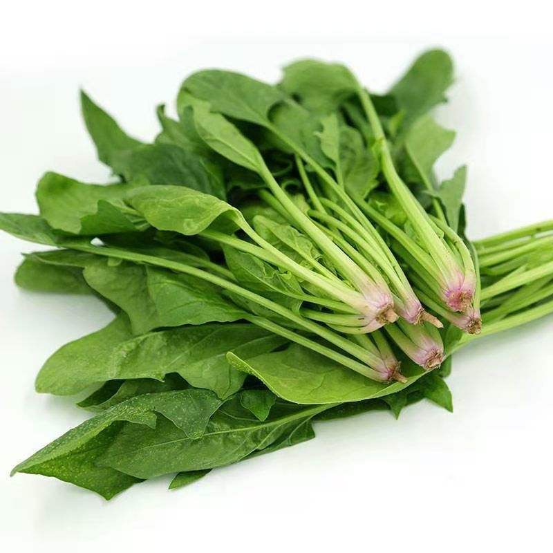 姚鲜品旗舰店新鲜菠菜火锅食材大叶红根现摘现发蔬菜现摘菠菜3斤净重