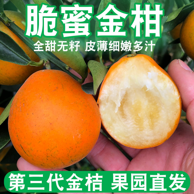 脆蜜金柑广西融安脆蜜金桔金橘第三代金桔纯甜无酸3斤礼盒装脆蜜金柑