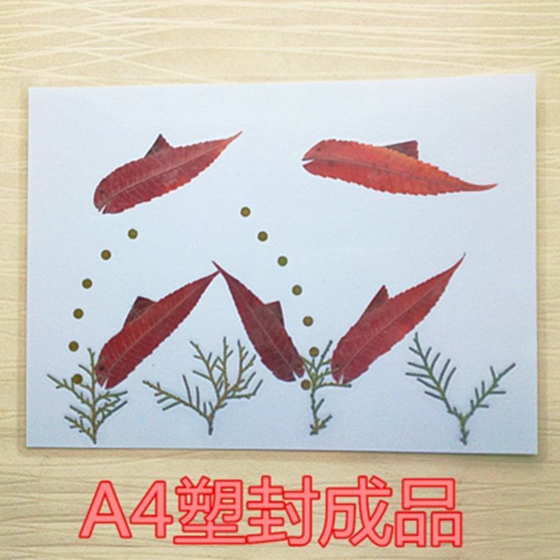 天然真树叶成品贴画幼儿园手工制作小学生干标本叶子画塑封成品区