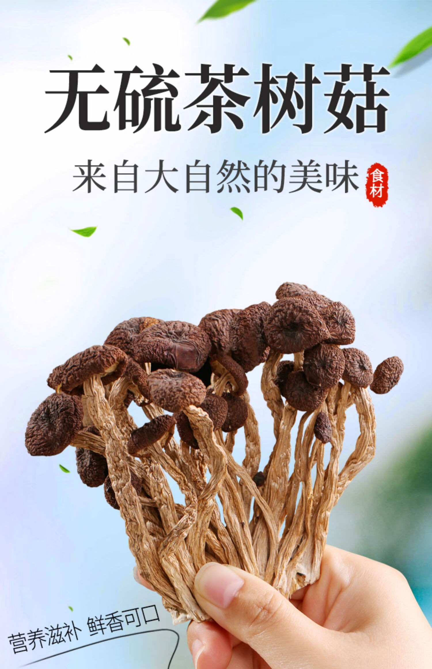 聚品小镇新品茶树菇干货250g旗舰店农家特产不开伞干茶树菌茶薪菇食用