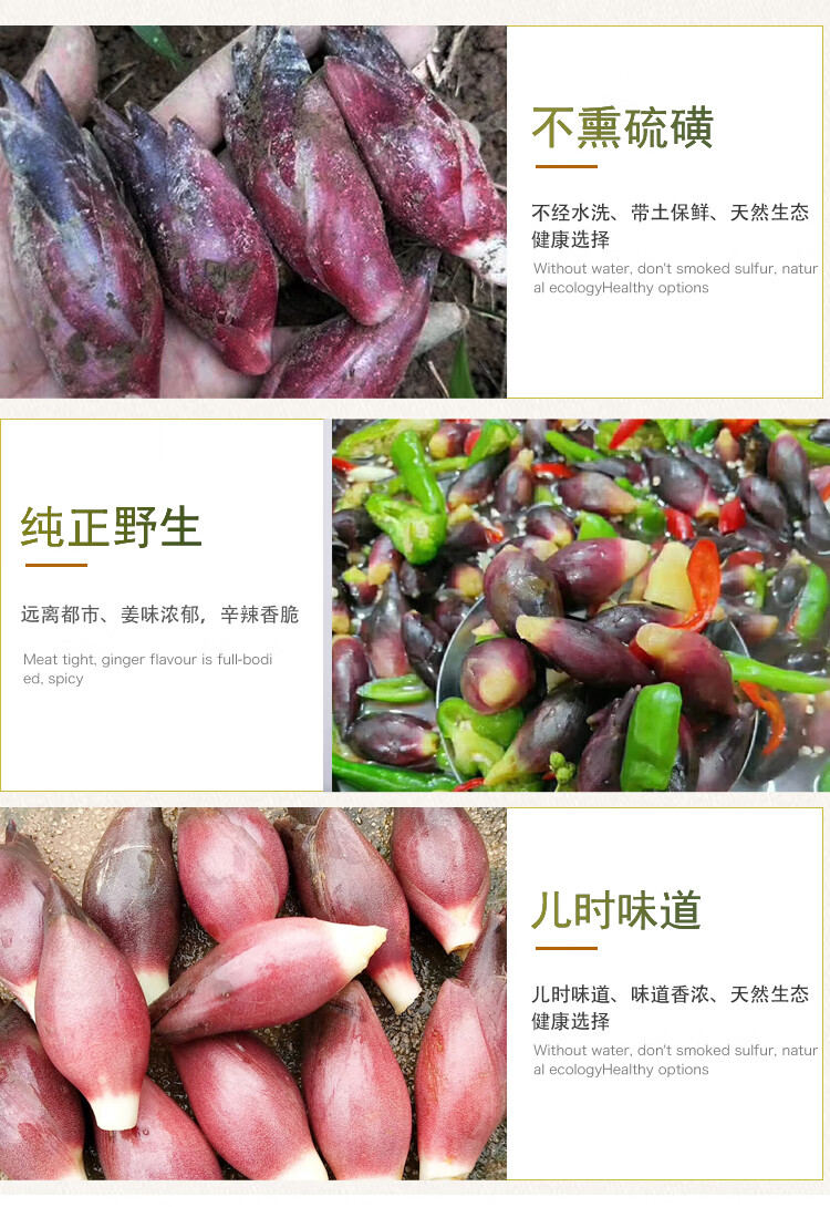 洋荷姜阳荷姜新鲜3斤野生洋河阳和姜洋火阳藿洋荷洋胡姜蔬菜