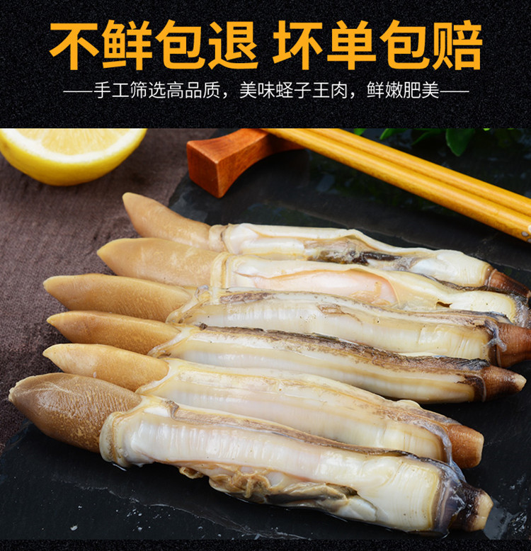 海头海州湾新鲜冷冻去壳蛏王肉竹节蛏子蛏怪海鲜烧烤食材生鲜贝类蛏王