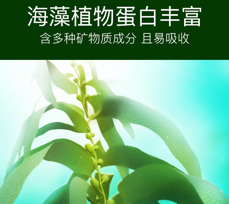 碧雅漫海藻眼膜贴(60贴) 淡化黑眼圏眼黛熬夜眼贴男女通用 海藻柔嫩眼膜60贴X1盒