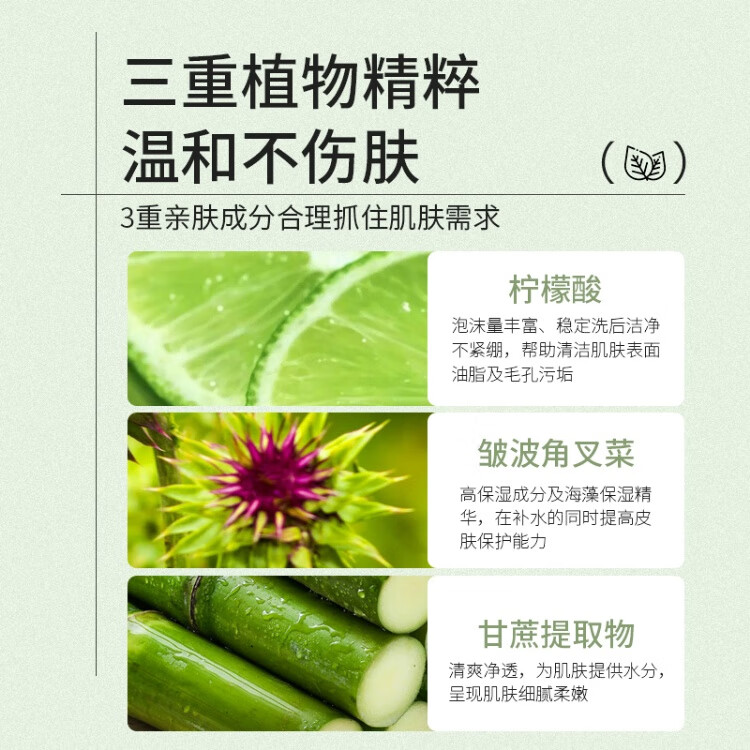 雪伊娜氨基酸洗面奶臻颜净透洗面奶洁面乳小杨哥控油保湿黑头男女士学生 一瓶装