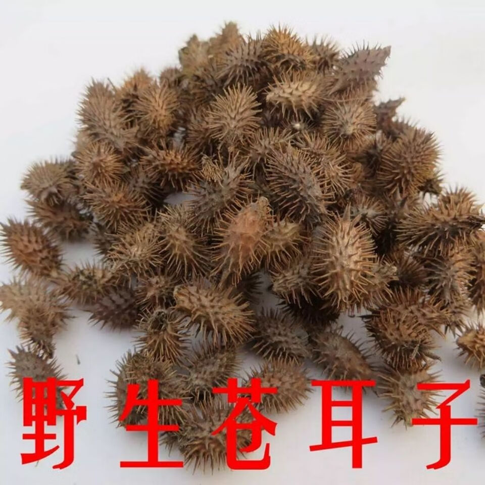 野生苍耳子成熟带刺苍耳苍耳粉中药材泡脚500克