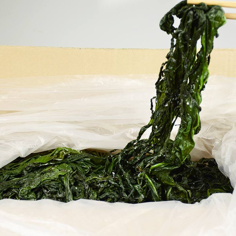 大连特产海带苗干货嫩新鲜烫三秒火锅海带芽裙带菜海白菜净重6斤