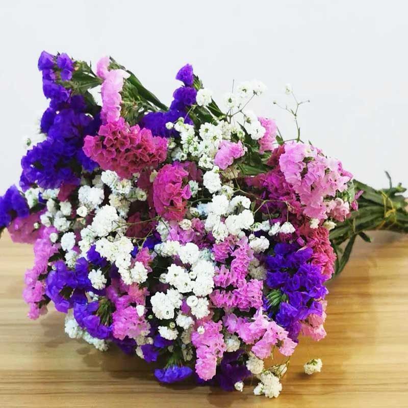 满天星混搭勿忘我干花花束家居摆设清新装饰花真花ins干花大束 六色混