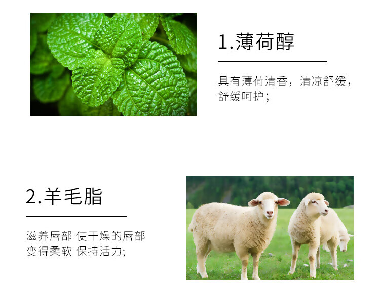 百蕾适（Blistex）美国进口清爽防晒润唇膏SPF15薄荷清凉水润保湿护唇膏唇油4.25g 薄荷味-清爽防晒