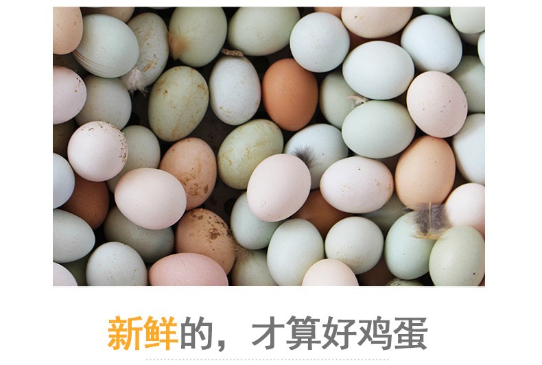 [西峡馆] 土鸡蛋 农家新鲜鸡蛋 新鲜柴鸡蛋笨鸡蛋 40枚