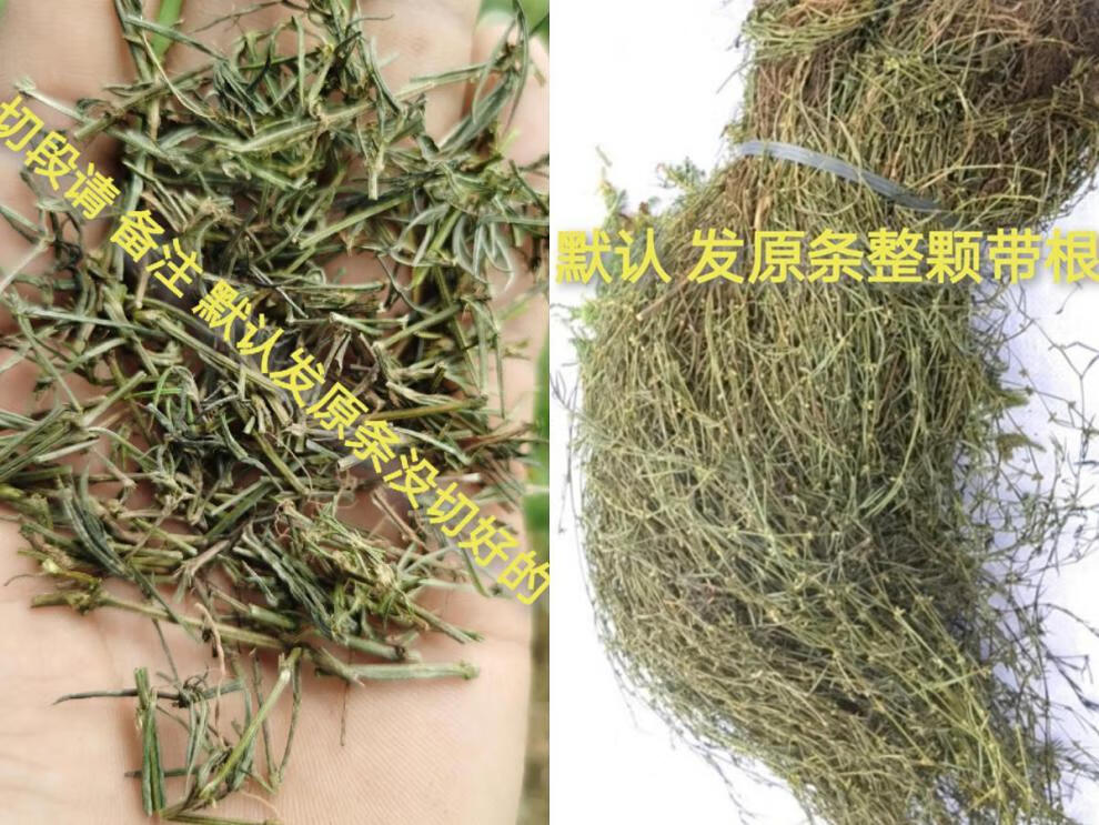 野生白花蛇舌草中药白花蛇舌草野生云南白花蛇草草药白花草白花蛇舌草