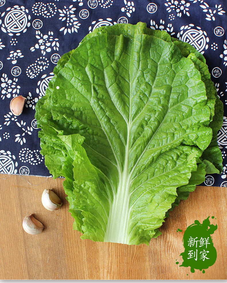 蔬菜 叶菜类 桃李村 打饭包菜叶东北大白菜叶子即食蘸酱蔬菜白菜叶饭