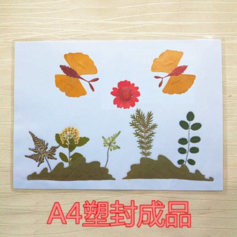 天然真树叶成品贴画幼儿园手工制作小学生干标本叶子画塑封成品区