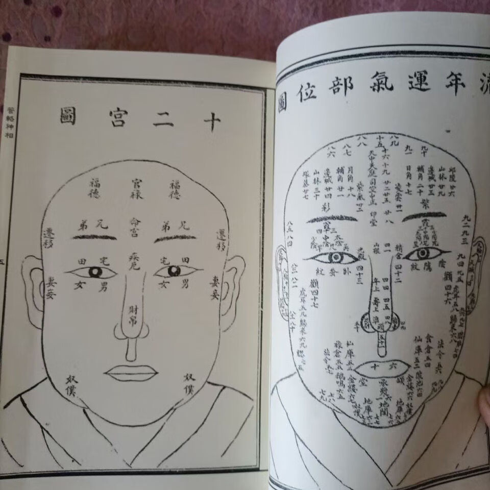 管辂神相秘传海内秘本全身面相法令人无秘密三国时期相学大师作朗栩莲