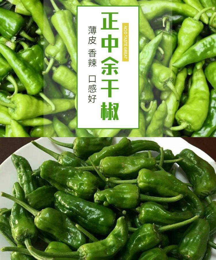 正宗余干辣椒新鲜辣椒现摘青辣椒鲜香超辣辣椒小薄皮辣椒超辣 余干椒1