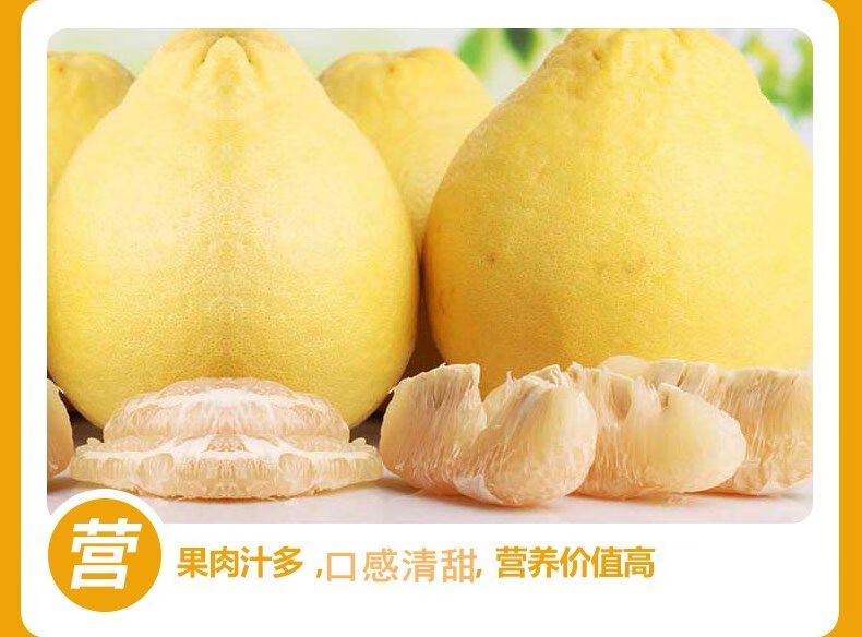 【纯甜不酸】正宗梅州沙田柚白心肉柚甜柚子梅县金柚当季新鲜水果 小