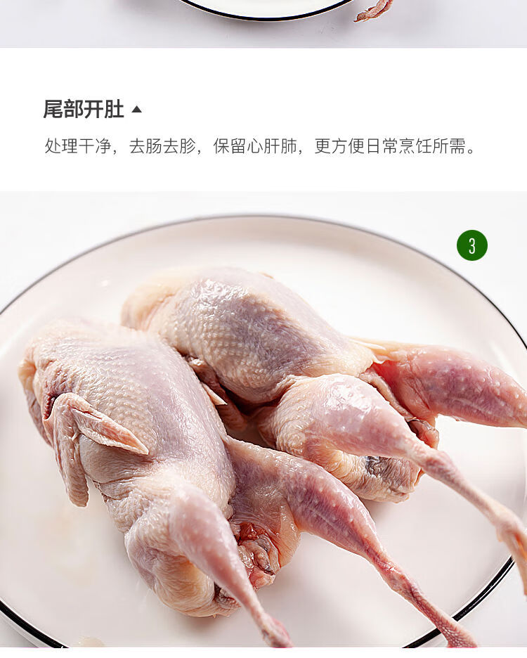 顺丰新鲜特大母鹌鹑肉公鹌鹑白条活体炖汤红烧油炸烧烤生骨肉母鹌鹑