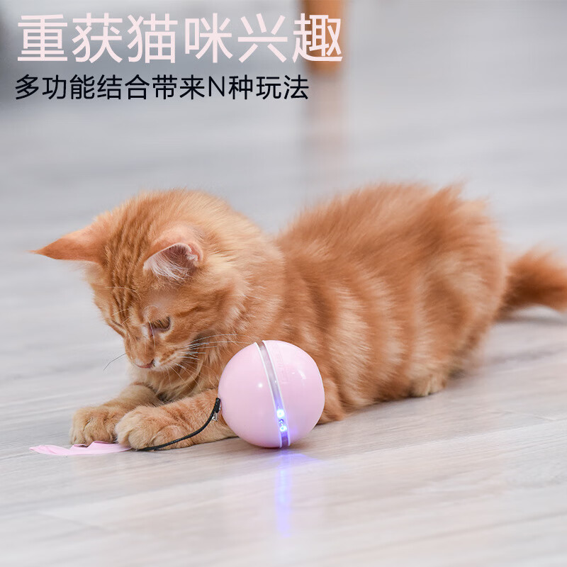 桑菽自动逗猫棒新款猫咪用品电动玩具球脚用自嗨解闷神器耐咬磨牙养猫