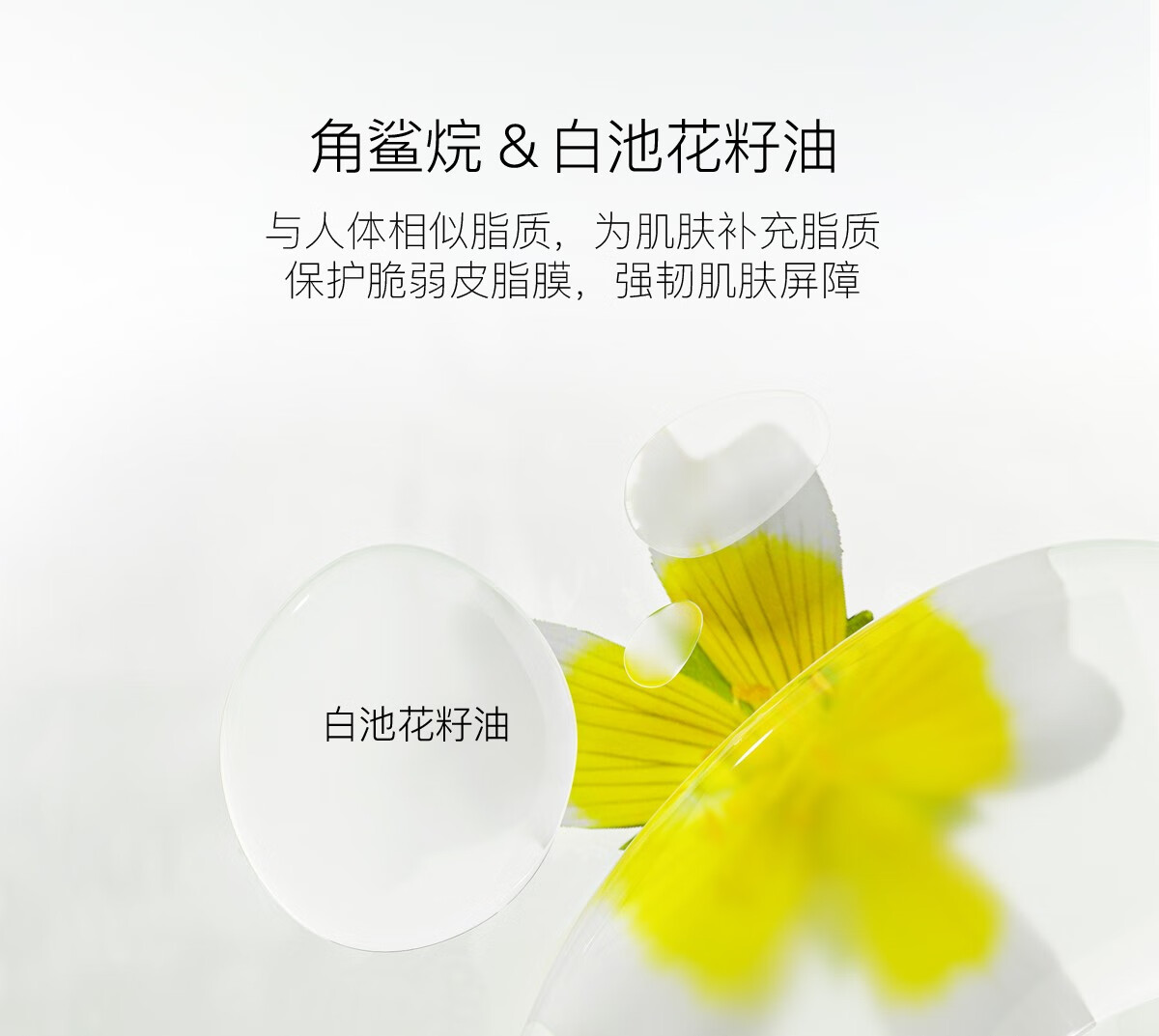 柳丝木（Ositree）敏感肌隔离霜25g 新升级3.0变色特护保湿养肤妆前打底修饰肤色 【敏感肌】绿色×2