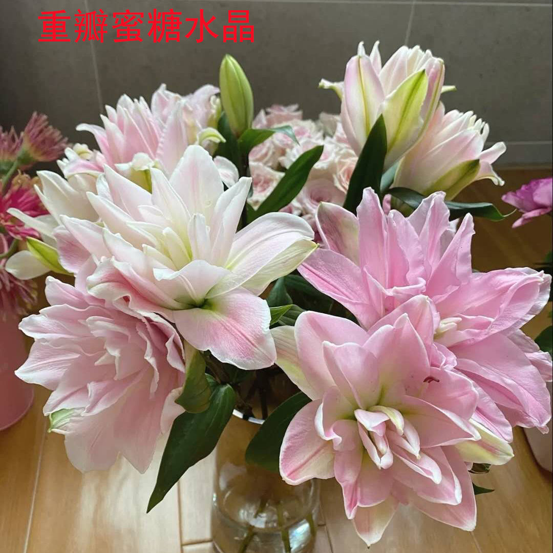 芊阙上新云南基地直发百合花鲜花真花水养香水重瓣百合室内鲜切花速递