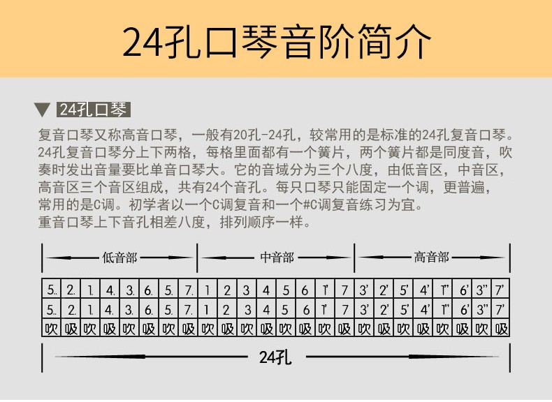 日本进口suzuki铃木口琴su24孔复音c调重音专业演奏成人初学原装进口