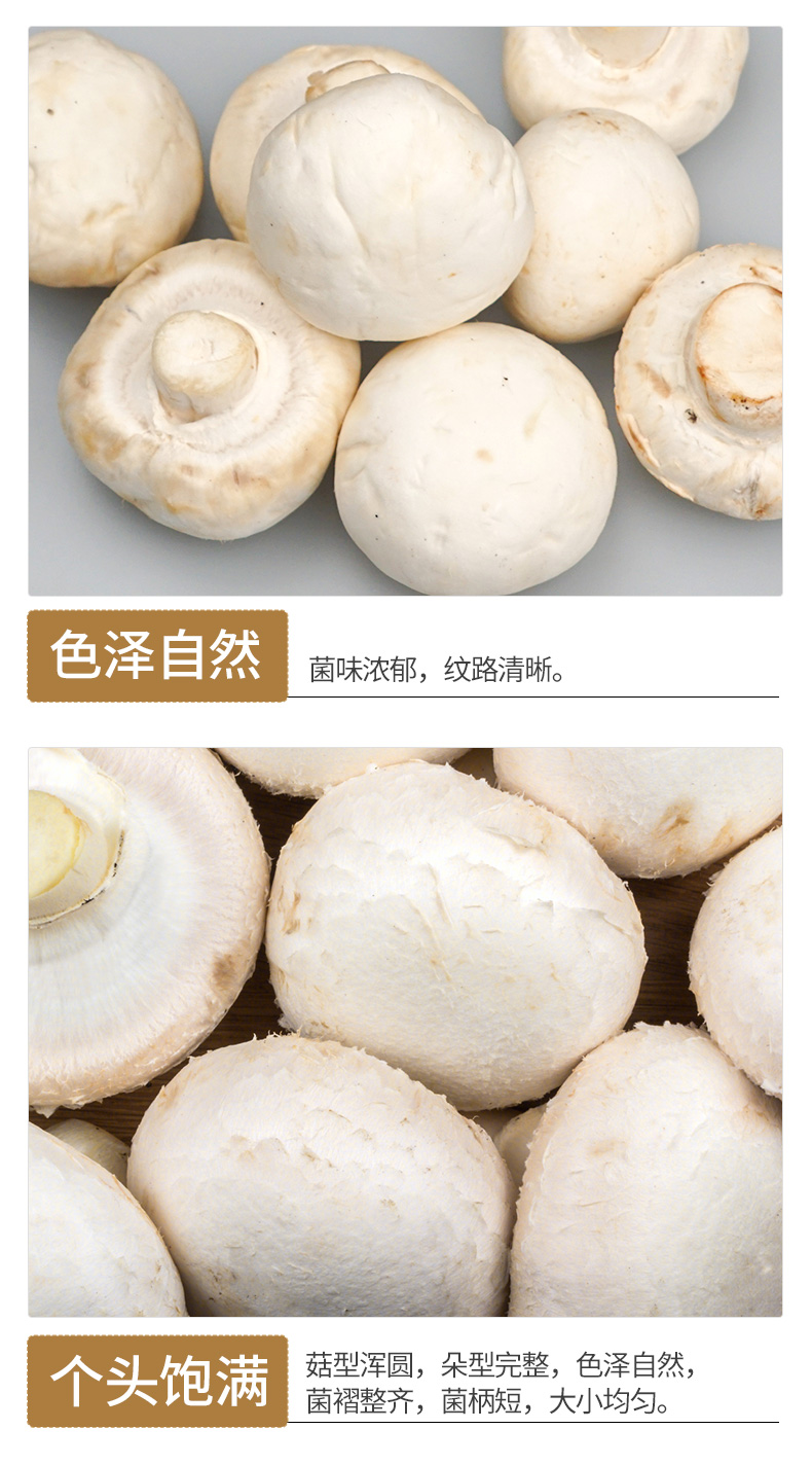 口菇 约200g 口蘑 白菌菇 火锅烧烤食材 新鲜蔬菜 农贸市场