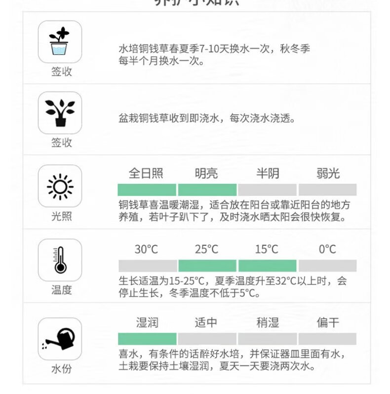 9，室內盆栽水養花卉銅錢草水培植物根莖含花盆套餐綠植辦公 不帶葉子根系30棵 不含盆