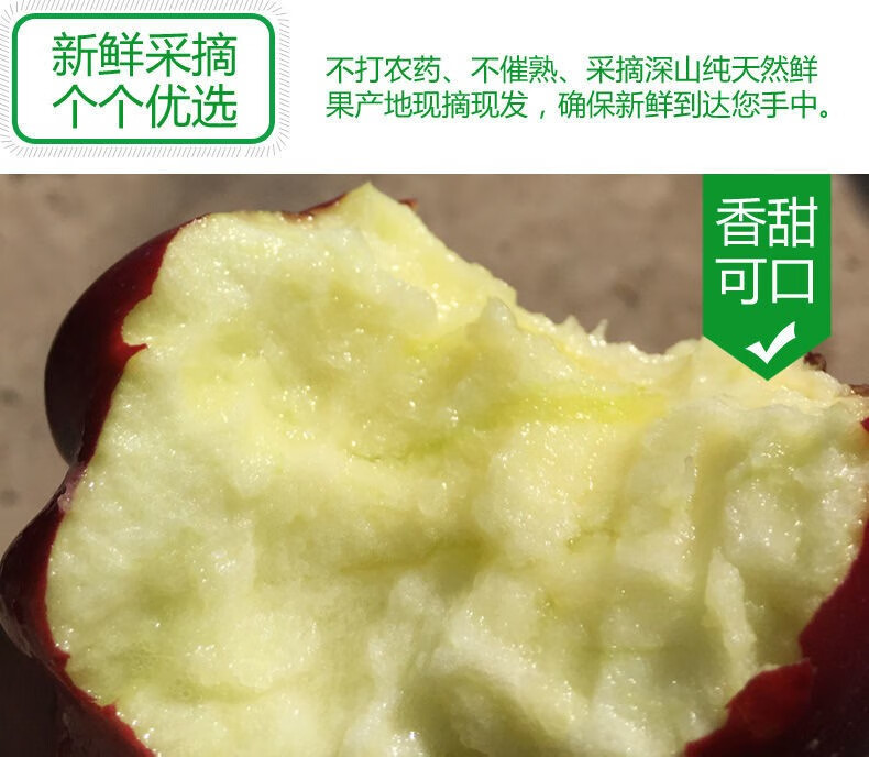 甘肃天水花牛苹果 时令苹果 国产红蛇果 新鲜水果粉面苹果 带箱9.5-10斤大果(单果80-85mm)