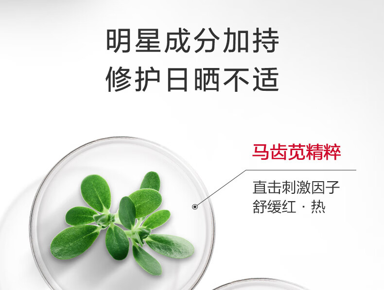 薇诺娜（WINONA）光透皙白隔离修白日霜 SPF35PA+++ 改善暗沉提亮肤色 15g【效期剩余6个月】