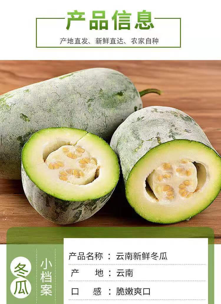 云南小冬瓜青皮迷你冬瓜新鲜现摘农家有机种植当季 3斤 实惠装