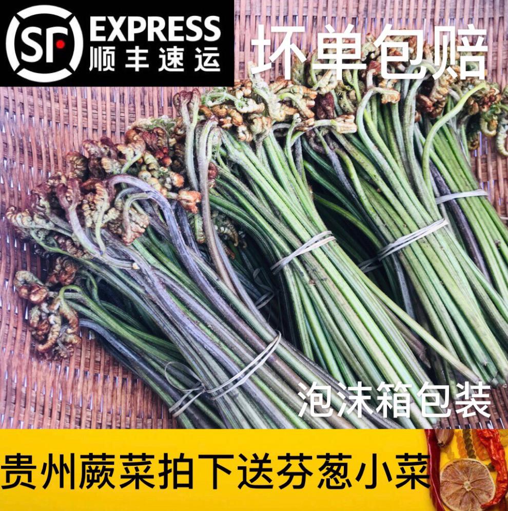 【顺丰】蕨菜新鲜 贵州新鲜蔬菜野外生长龙爪菜甜蕨苦蕨3/5斤 2500g