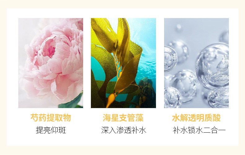 NCCU香港NCCU金盏花睡眠面膜花瓣冻膜夜间涂抹式免洗补水保湿提亮肤色 一盒装110g