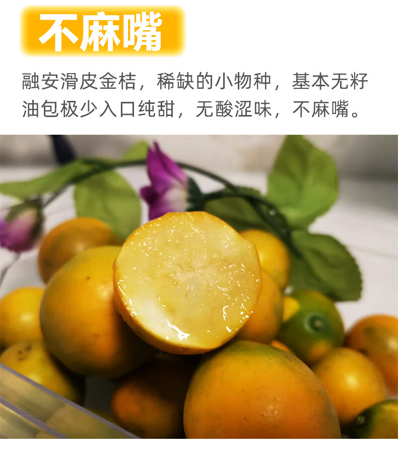 新鲜融安金桔广西柳州滑皮金桔当季新鲜水果脆皮金橘脆蜜金柑5斤礼盒