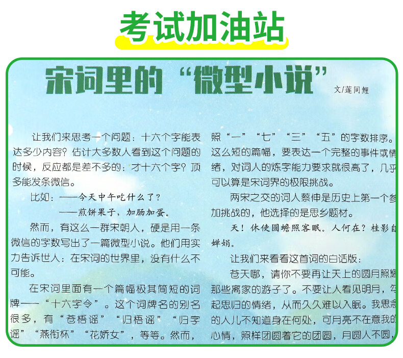 意林少年版15周年 2023年2022年2024年杂志订阅 全套合订本中小学作文素材写作校园励志读本15周年意林小国学18周年纪念书 【全2册】意林少年版15周年