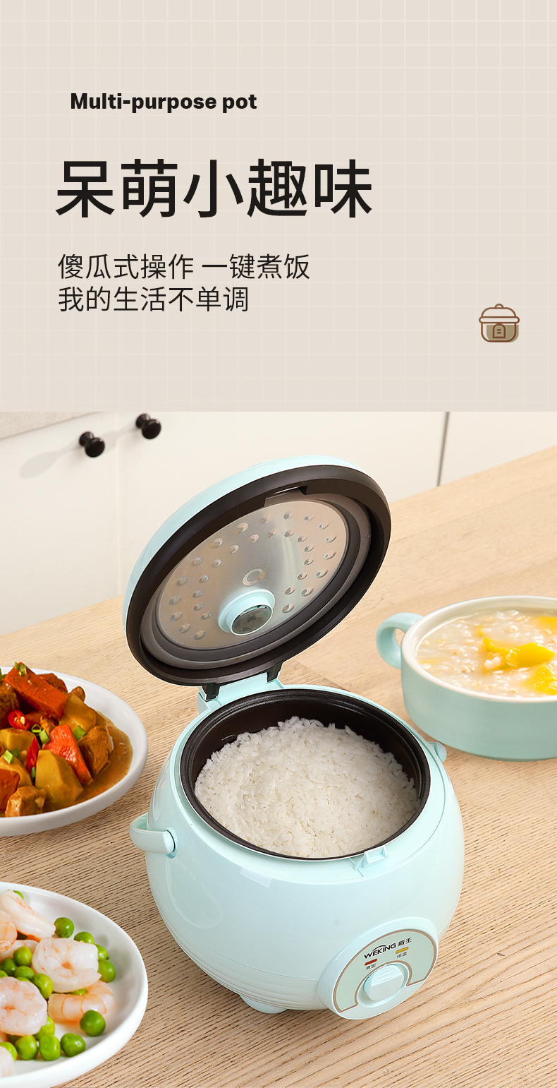 威王电饭煲家用老式