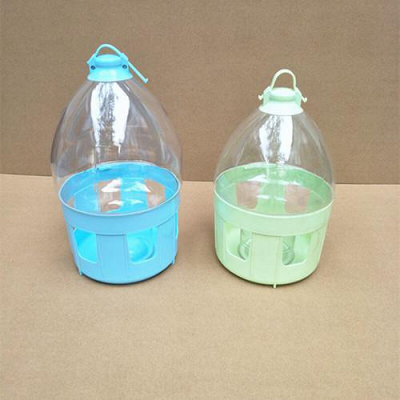 鸽具赛格信鸽用品用具鸽子饮水器自动透明水壶鸽子水槽鸟用喝水壶 4升