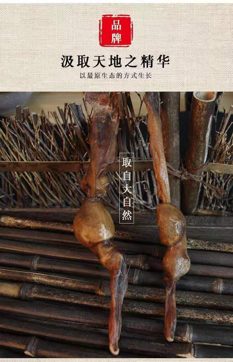 黄狗鞭黄狗肾纯狗鞭新鲜干鞭狗泡酒料狗中药材鞭滋补鞭泡酒黄狗鞭1825